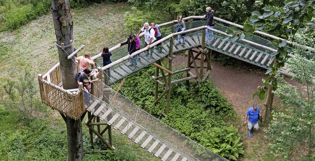 Abenteuerpfad auf dem Gelnde des Baumkronenwegs  | Foto: Gabriele Zahn (2/Titel), Sylvia Sredniawa