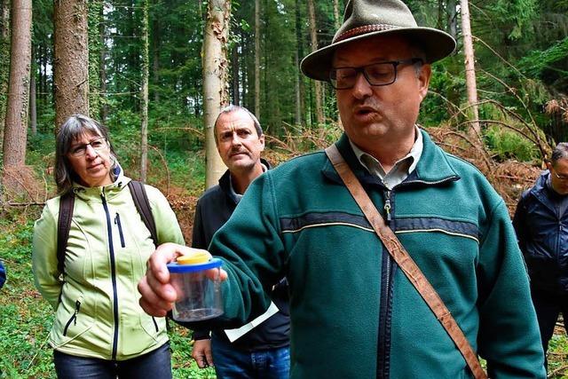 Fotos: 50. Waldtag mit Waldbegehung in Herten
