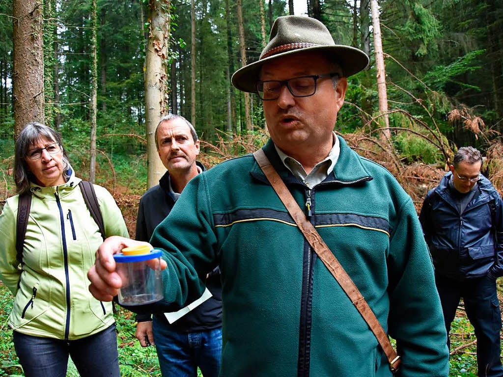 Forstrevierleiter Gerd Fricker mit einem eingefangenen Borkenkfer