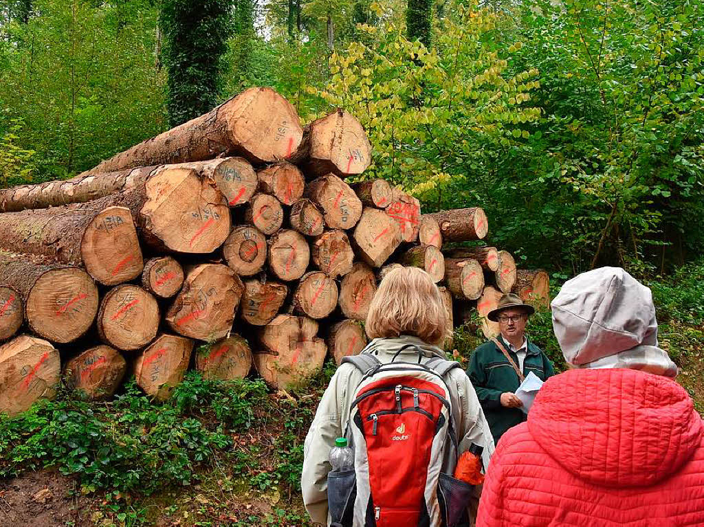 Kferholz am Wegesrand, das einen hohen Anteil Rotfule beinhaltet