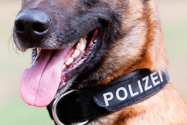 Polizei setzt Hund gegen Randalierer ein – und findet Marihuana
