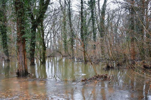 Vier Gemeinden und eine BI kämpfen gegen Flächenflutungen im Rheinwald