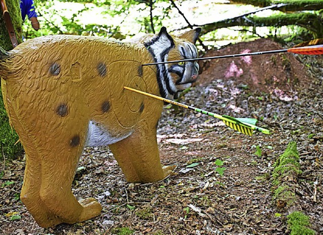 Ein 3-D-Lux als Bogenziel   | Foto: stam