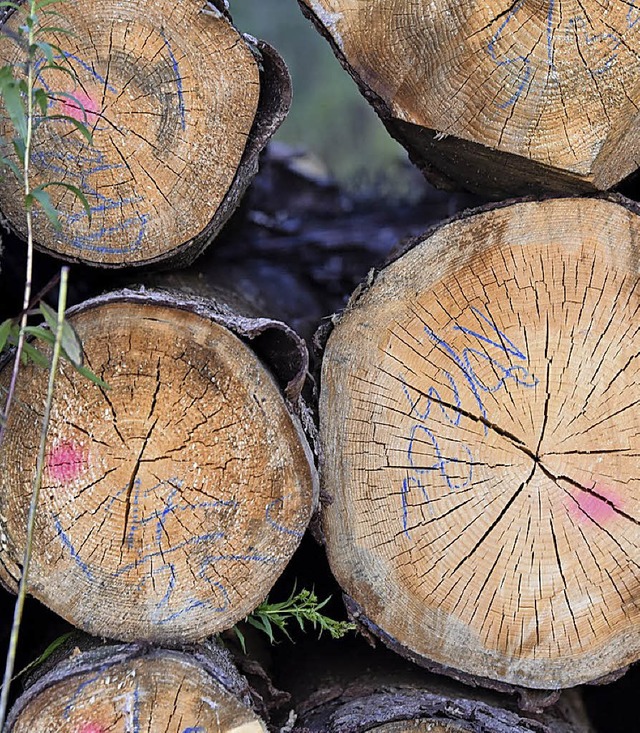 Abgeladenes Kfer-Holz in der Teninger Allmend  | Foto: Jonas Hirt