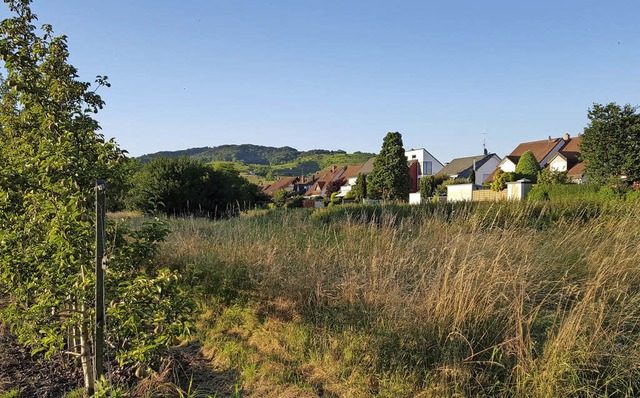 3,8 Hektar gro ist das Ihringer Baugebiet  &#8222;Kaibengasse&#8220;.   | Foto: Julius Steckmeister