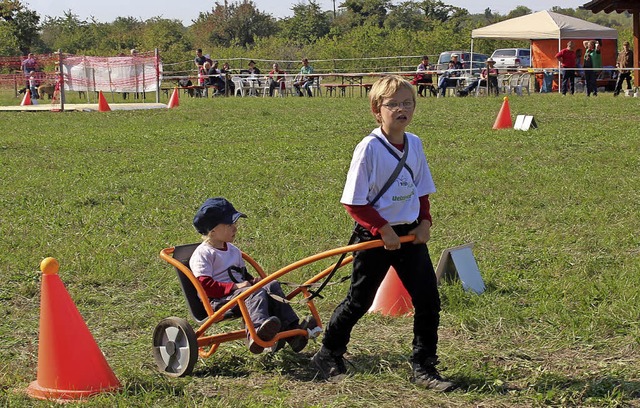 Silas spielte Pony, seine Schwester Manja sa stolz im Sulky.  | Foto: Cremer