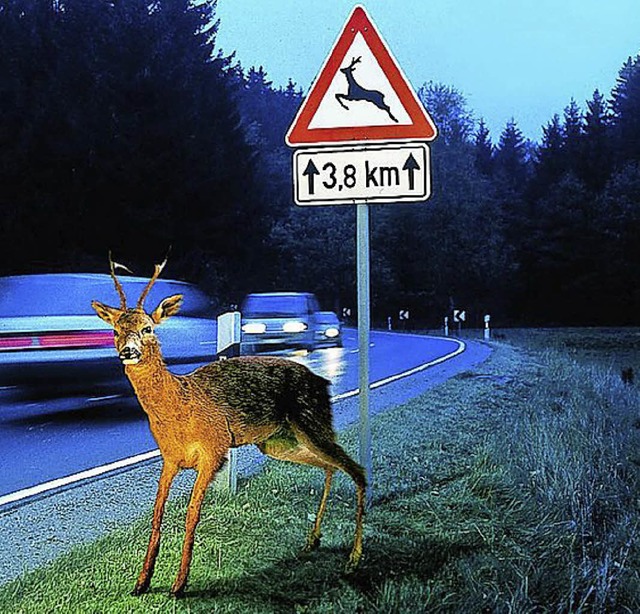 Vor  Tieren warnen Schilder am Straenrand.   | Foto: adac