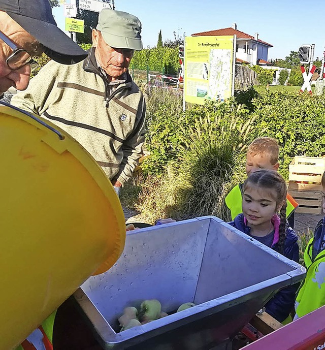 Apfelernte der Erstklssler in Knigschaffhausen  | Foto: Privat