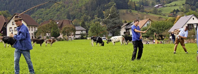 Die Viehhter lassen nach dem Abtrieb ihre Peitschen knallen.  | Foto: Horst David