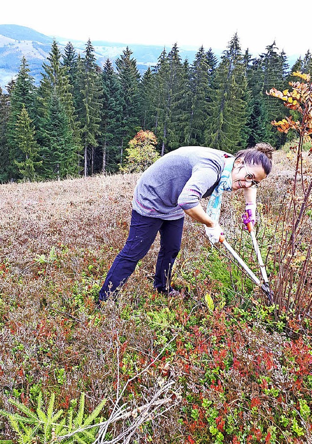 Reporterin Isabell Bickel fasst  mit an bei der Landschaftspflege.  | Foto: Isabell Bickel