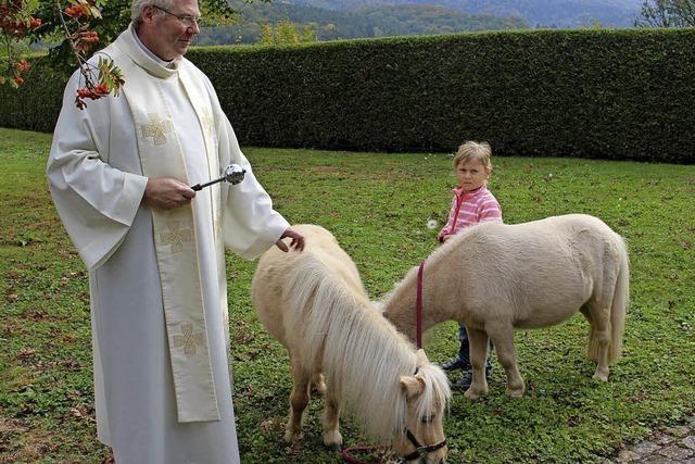 Pfarrer Kirner segnet Tiere