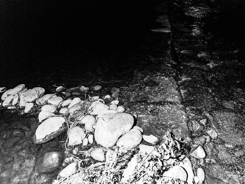 Dreisam bei Nacht Dreisam bei Nacht