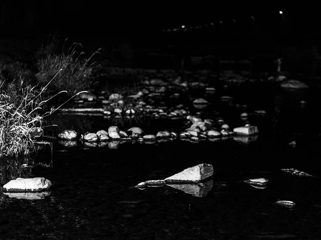 Dreisam bei Nacht Dreisam bei Nacht