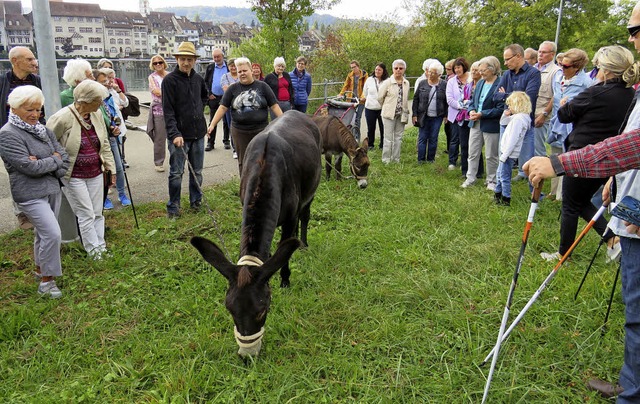 Zur groen Freude der Teilnehmer auf d...oritz von der Eselei Marty  begleitet.  | Foto: Claudia Gempp