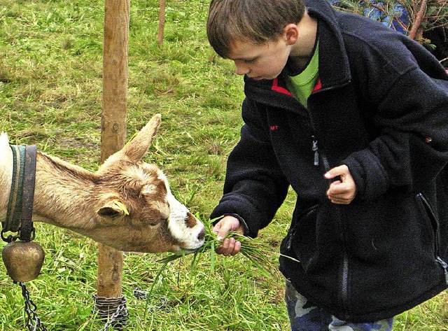 Beim diesjhrigen Biosphrenfest in H...s ein Programm fr die ganze Familie.   | Foto: Ulrike Spiegelhalter