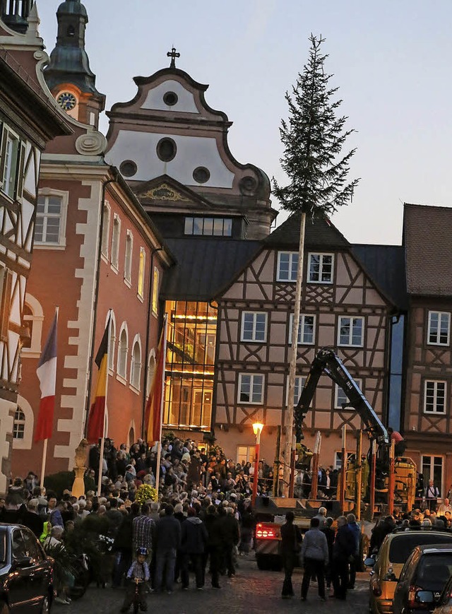 Aktion in der Sonntagabendsonne vor 40...uerwehr setzt die Brgermeistertanne.   | Foto: Decoux-Kone