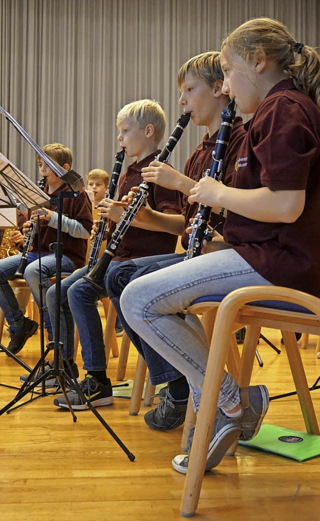 Die Jungmusiker bei ihrem Auftritt am Sonntag   | Foto: Steckmeister