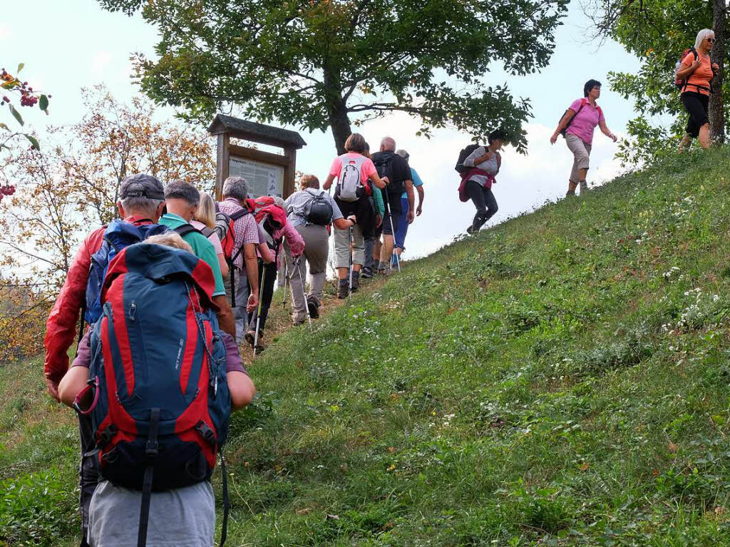 Die gemeinsame Wanderung der BZ mit dem Schwarzwaldverein Bad Bellingen ging durch das reizvolle Eggenertal von und nach Obereggenen. Wanderfhrer Fritz Hurst konnte mehr als 50 Mitwanderer auf der etwa 13 Kilometer langen Rundtour begren.