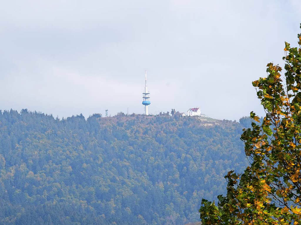 Die gemeinsame Wanderung der BZ mit dem Schwarzwaldverein Bad Bellingen ging durch das reizvolle Eggenertal von und nach Obereggenen. Wanderfhrer Fritz Hurst konnte mehr als 50 Mitwanderer auf der etwa 13 Kilometer langen Rundtour begren.
