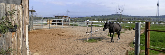 20 auf 40 Meter gro ist der Sandplatz... frs Landratsamt Stein des Anstoes.   | Foto: Langelott