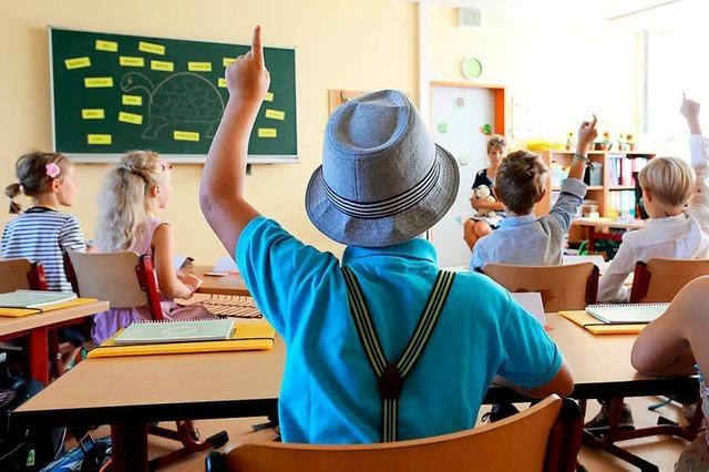 AfD will auch im Sdwesten online Meldungen ber kritische Lehrer sammeln