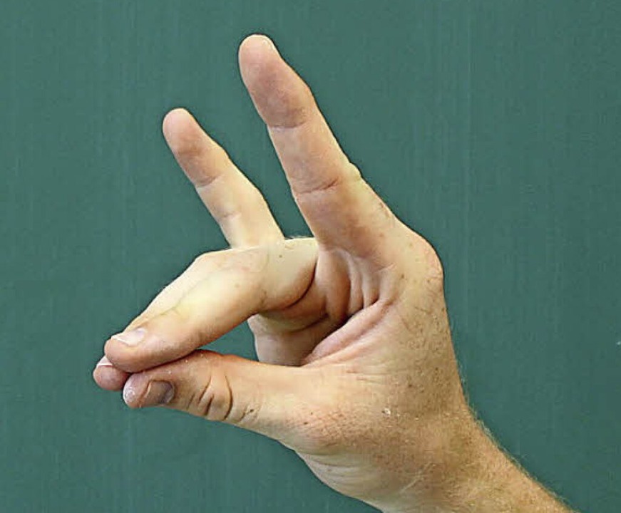 AUCH DAS NOCH Die Wölfe und der Schweigefuchs Deutschland Badische