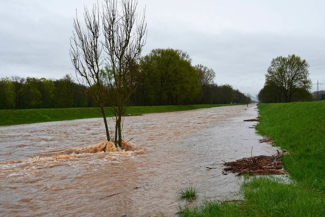 Die Dreisam bei Hochwasser im Juni 2016  | Foto: Manfred Frietsch