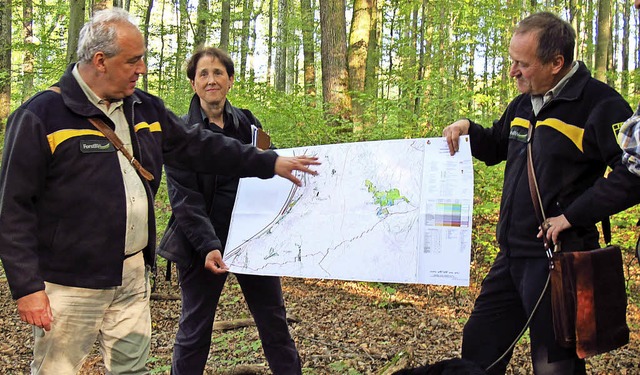 Forsteinrichter Andreas Sippel vom Reg...er Karten den Waldbesitz der Gemeinde.  | Foto: Jutta Schtz