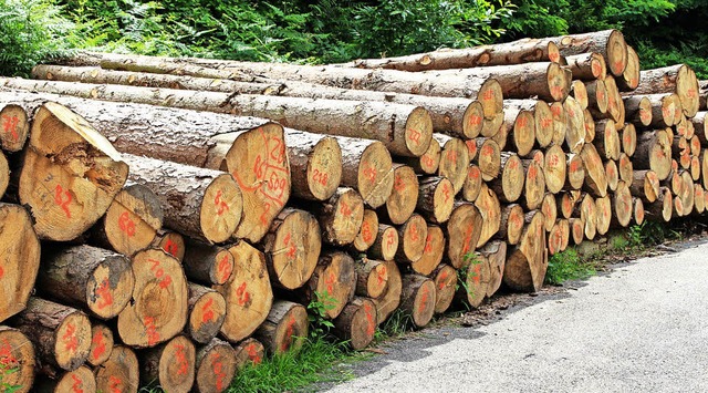Fr Industrieholz aus dem Schuttertal gibt es keine Absatzprobleme.   | Foto: R. Beschorner