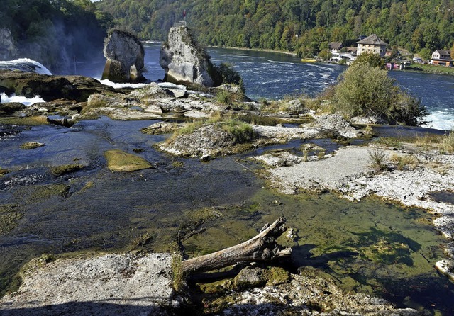 Europas grter Wasserfall, der Rheinf...cht zurzeit einer groen Gerllhalde.   | Foto: Gntert