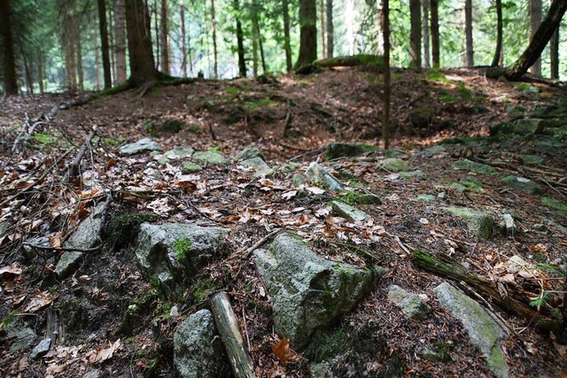 Der berreste einer schwedischen Scherenschanze im Schweigmatter Wald.  | Foto: Stefan Ammann