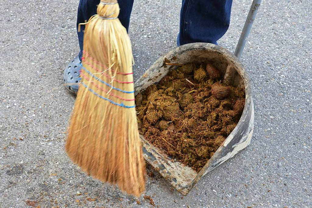 Pferdeäpfel für Ärger in Karsau Rheinfelden