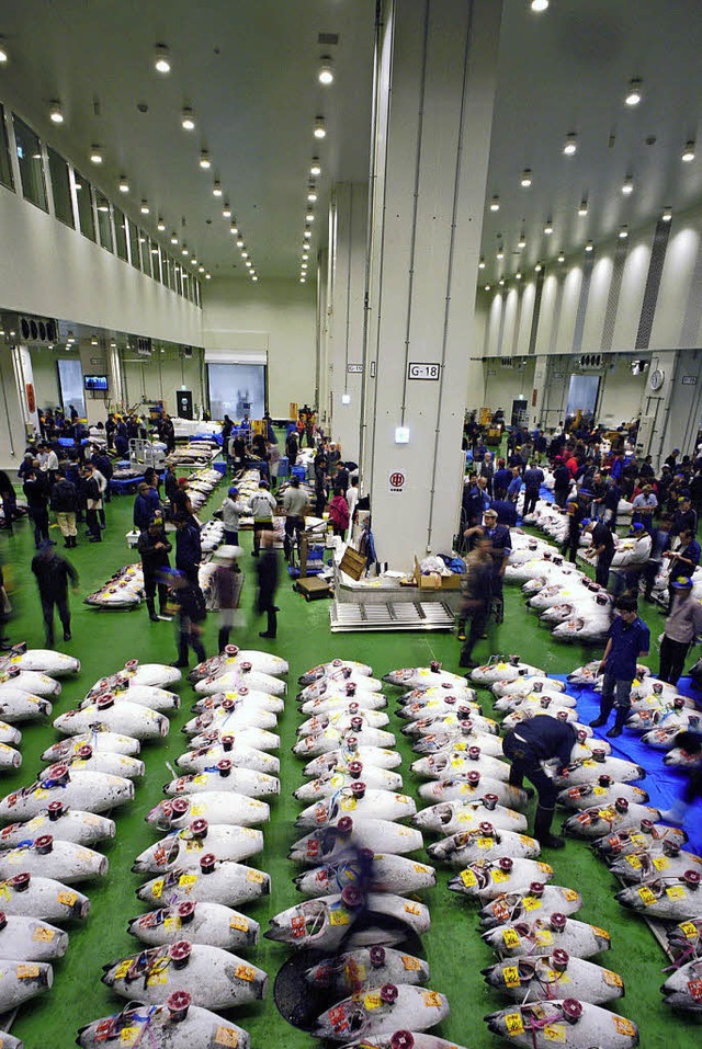 Viel Fisch, wenig Atmosphre: der neue Fischgromarkt in Tokio   | Foto: dpa