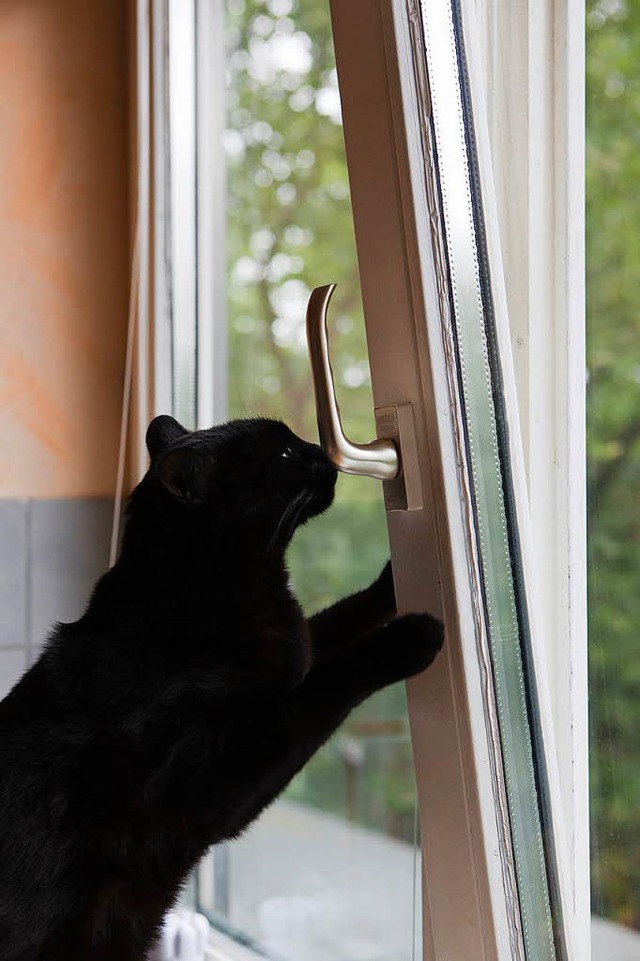 Gekippte Fenster sind fr Einbrecher eine willkommene Einstiegsmglichkeit.  | Foto: Silvia Marks