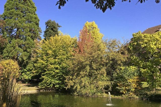 Goldener Oktober im Stadtgarten