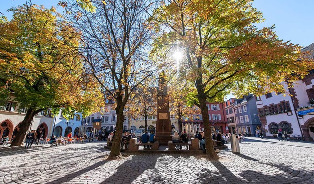 Der goldene Oktober in Freiburg  | Foto: dpa