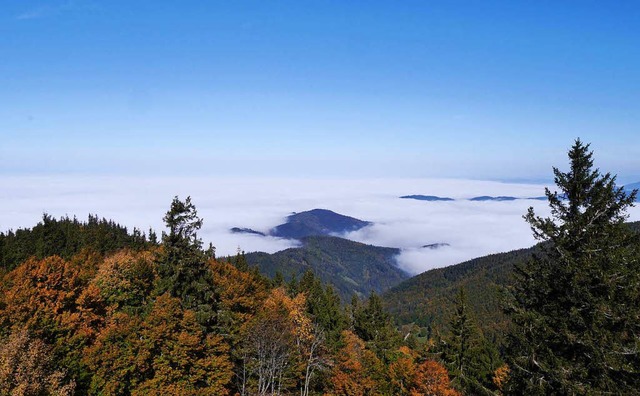 Blick ins Tal vom Schauinsland.  | Foto: Anna Witte-Rotter