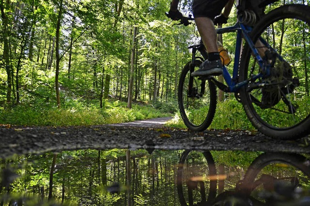 Die Waldbereiche rund um den Kybfelsen...n Mountainbiker auf den wegen bleiben.  | Foto: dpa