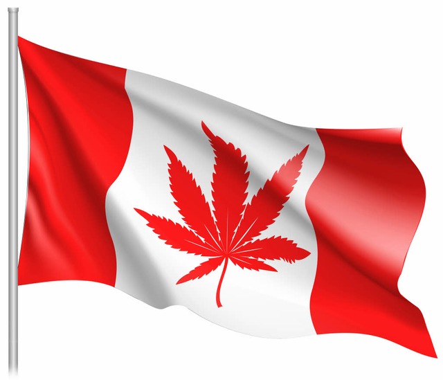 Kanadas Nationalflagge mit Hanf- statt Ahornblatt.  | Foto: pixx art, sunflower
