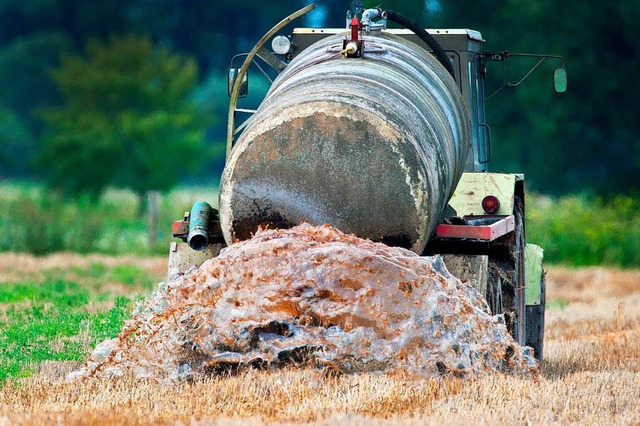 Ein Bauer bringt Glle auf einem Feld aus (Symbolfoto).  | Foto: dpa