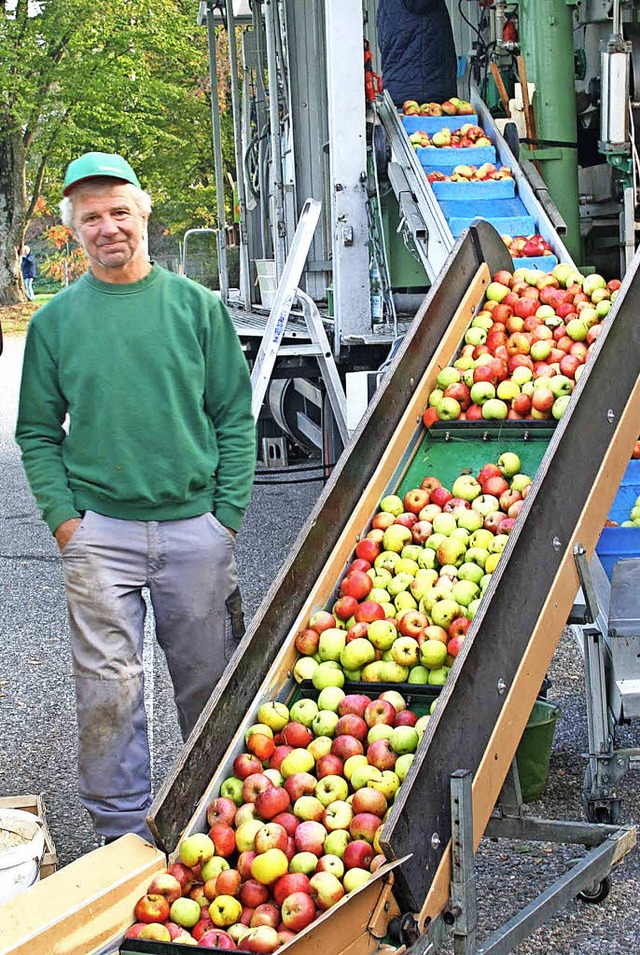 Streuobst wird zu Apfelsaft: Markus Sc...eine mobile Saftpresse bei der Arbeit   | Foto: Lacher