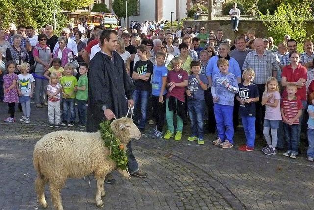 Hammel trifft Handwerker