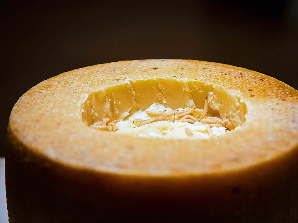 Der Casu Marzu ist ein sardinischer Schafskse, der so lange reift, bis Maden darin nisten.
