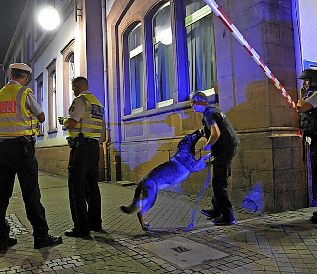 Sprengstoffsuchhund &#8222;Berta&#8220...ach kurzem Schnuppern fr Entwarnung.   | Foto: Seller