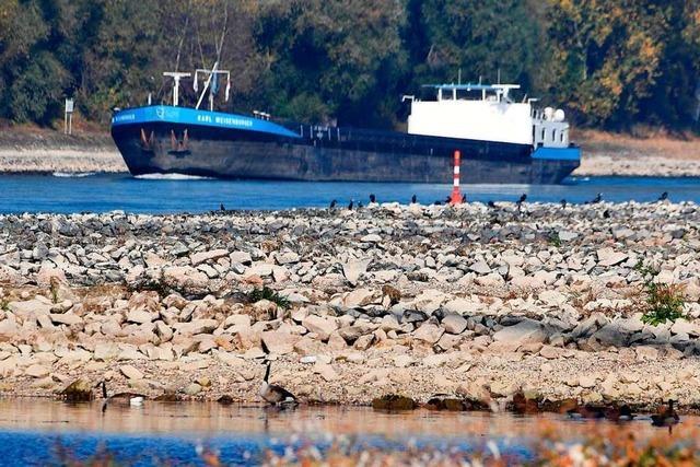 Den Schiffen auf dem Rhein fehlt das Wasser unterm Kiel