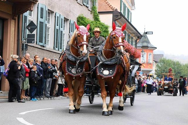 Fotos: Impressionen vom Herbstausklang in Ihringen