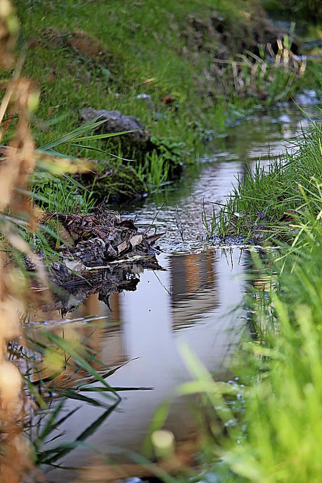 Idyllisch pltschert der Kennerbach da...in Kanal soll jetzt Abhilfe schaffen.   | Foto: Simon