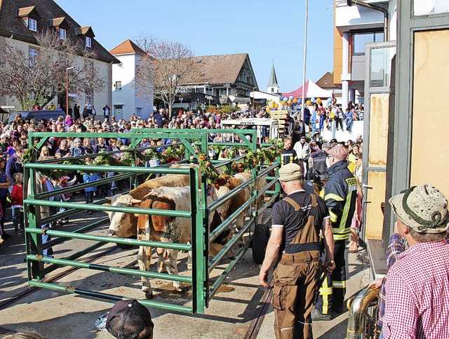 Die vier Hge brachten 1870 Kilogramm ...02 Kilogramm auf die Waage brachten.    | Foto: Ursula Ortlieb