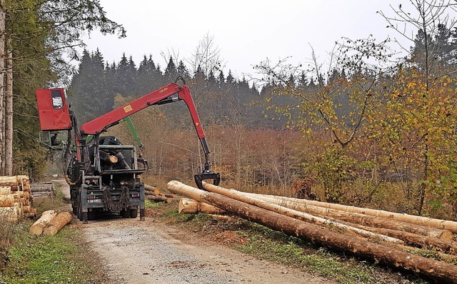 Entrindung von Baumstmmen auf dem Dinkelberg.   | Foto: FBG