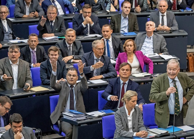 AfD-Fraktionschef Alexander Gauland (a...&#8222;politisch inkorrekt&#8220; ist.  | Foto: dpa